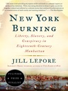 Cover image for New York Burning